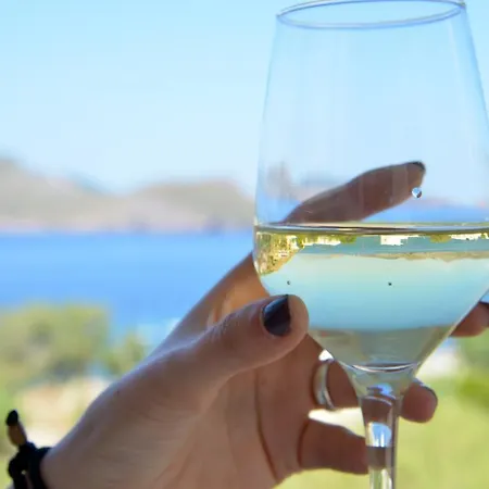 فندق Panorama Klima (Milos)