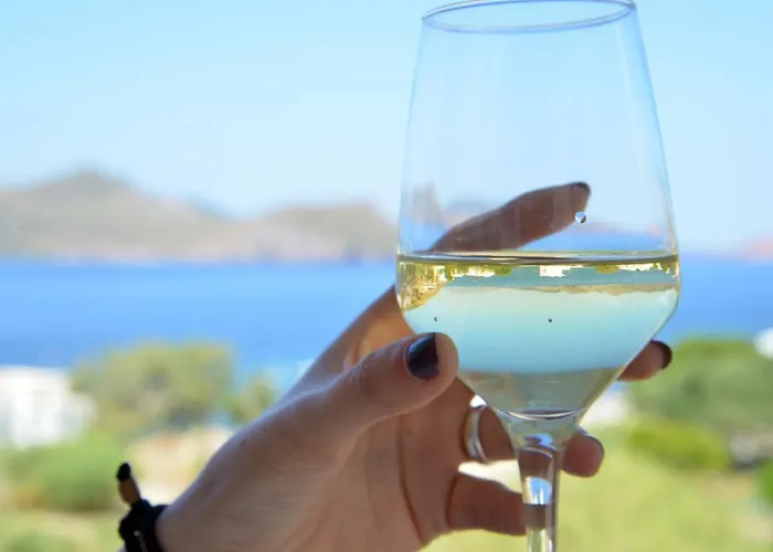 فندق Panorama Klima (Milos)